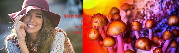 тгк Алексеевка