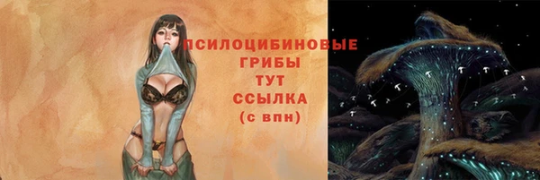 метадон Армянск