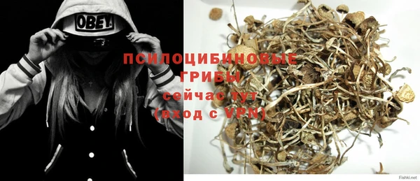 тгк Алексеевка