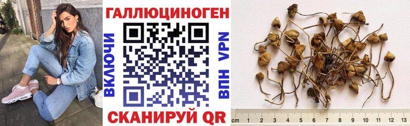кракен ONION  Аркадак  Псилоцибиновые грибы Psilocybine cubensis 